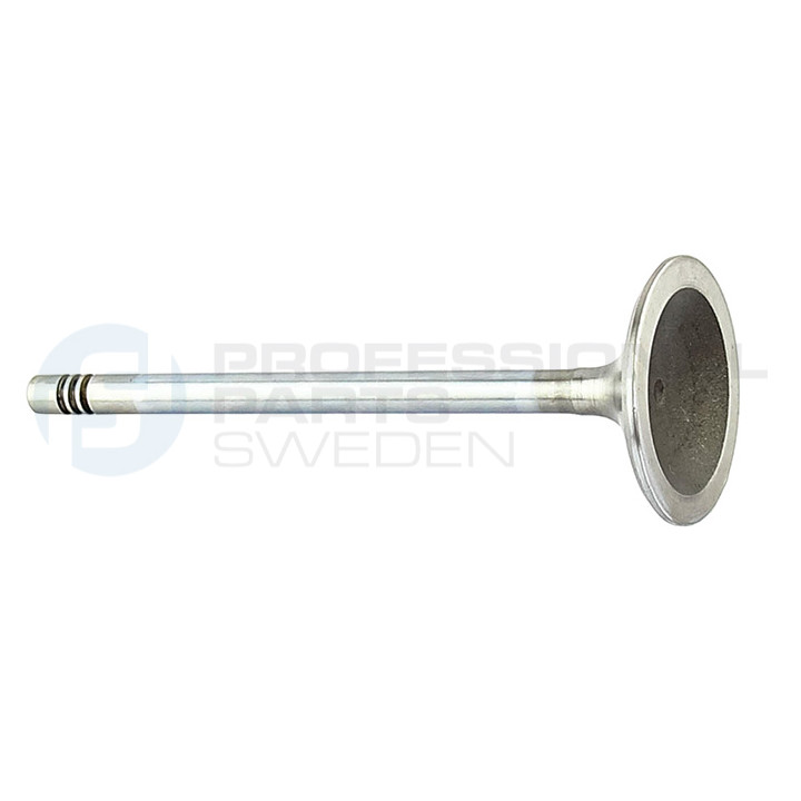 Zawór dolotowy Professional Parts 23346696