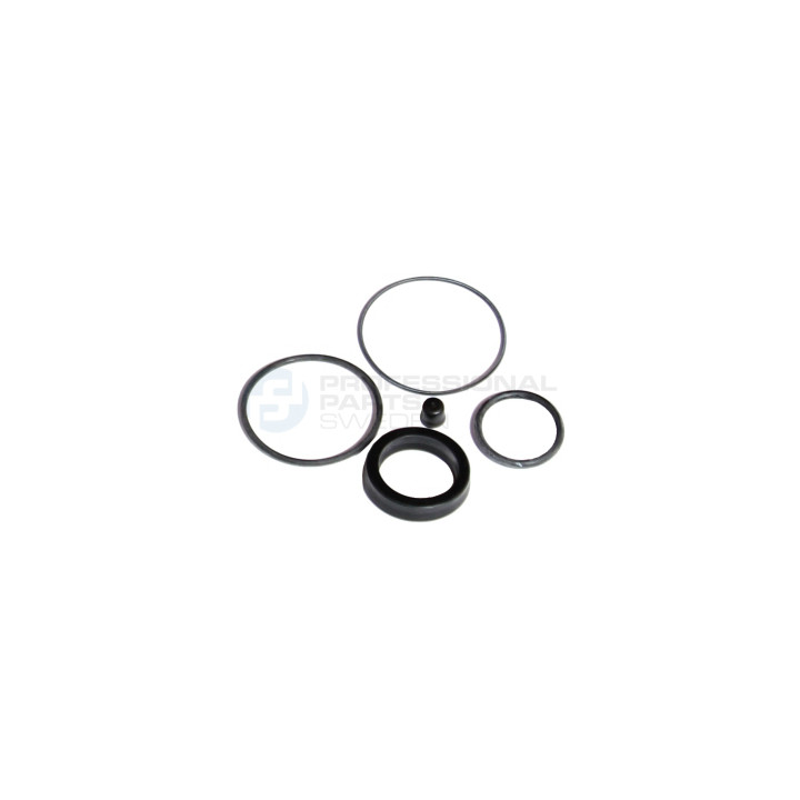 Zestaw naprawczy, siłownik sprzęgła Professional Parts 41341007