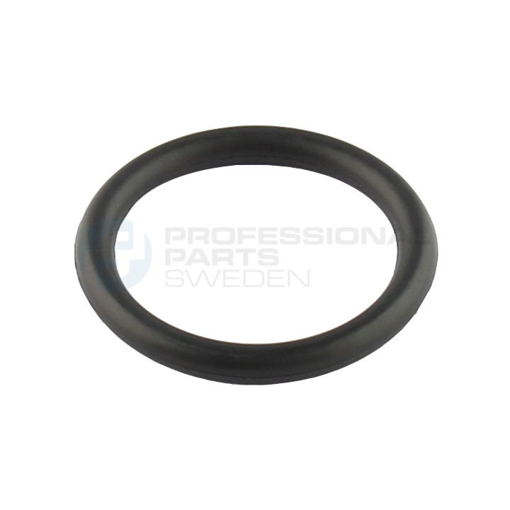 Uszczelka kolektora ssącego dolotowego Professional Parts 21347379
