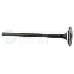 Zawór dolotowy Professional Parts 23342380