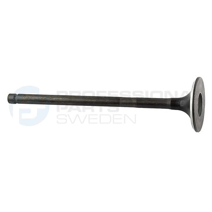Zawór dolotowy Professional Parts 23342380