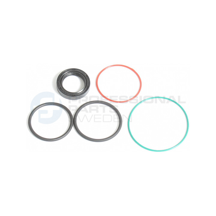 Zestaw naprawczy, siłownik sprzęgła Professional Parts 41341395