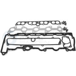 Zestaw uszczelek głowicy cylindrów Professional Parts 21342661
