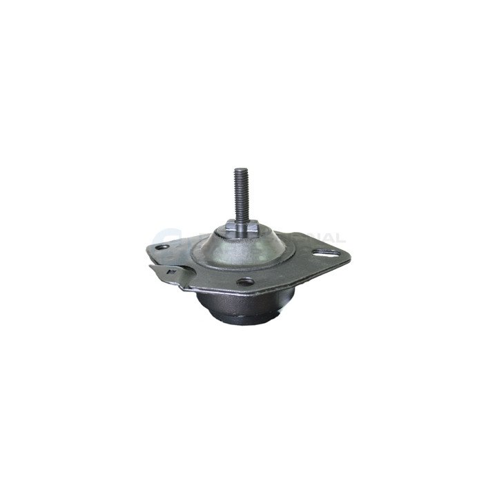 Poduszka silnika Professional Parts 62341104