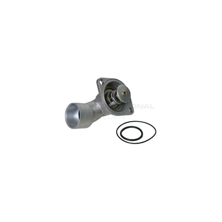 Termostat Professional Parts 26343017