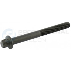 Śruba głowicy cylindrów Professional Parts 21348343