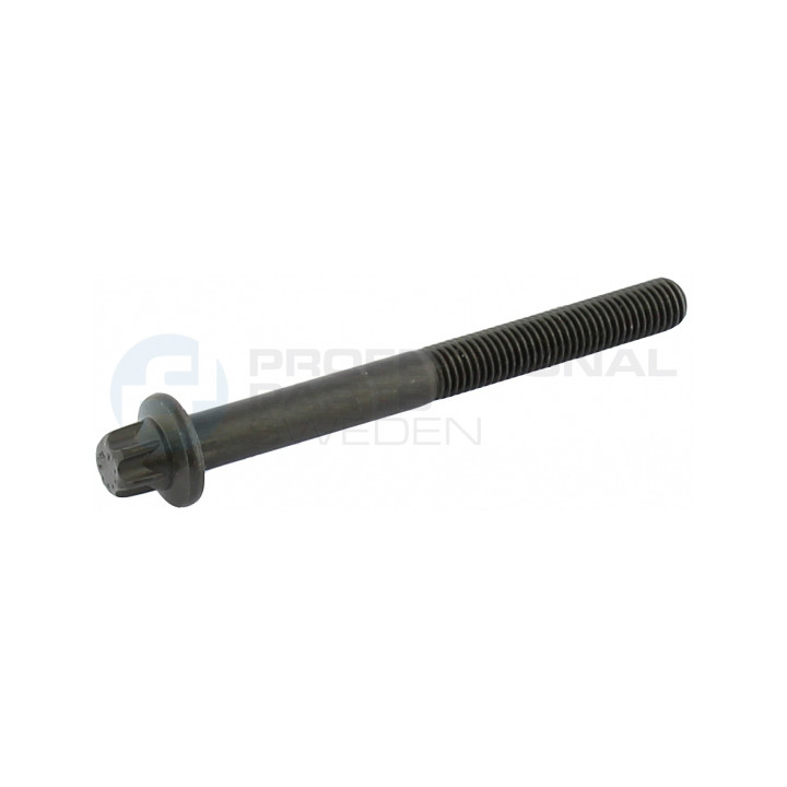 Śruba głowicy cylindrów Professional Parts 21348343