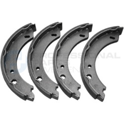 Zestaw szczęk hamulcowych Professional Parts 55347157
