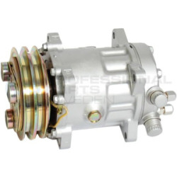 Sprężarka klimatyzacji Professional Parts 87349254