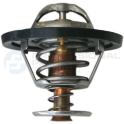 Termostat Professional Parts 26347551