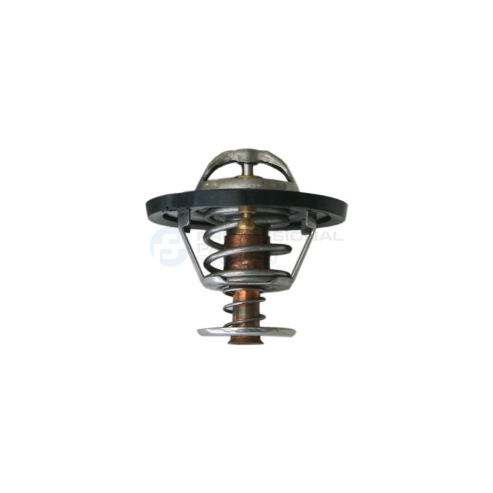 Termostat Professional Parts 26347551