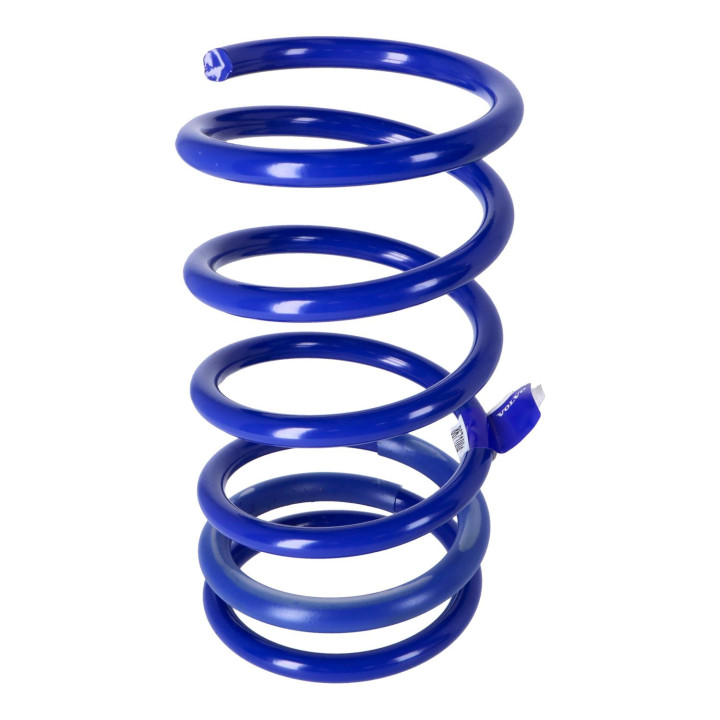 Rear spring Volvo (8671004)