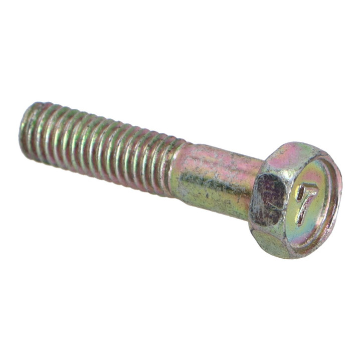 Screw Volvo (1239589)