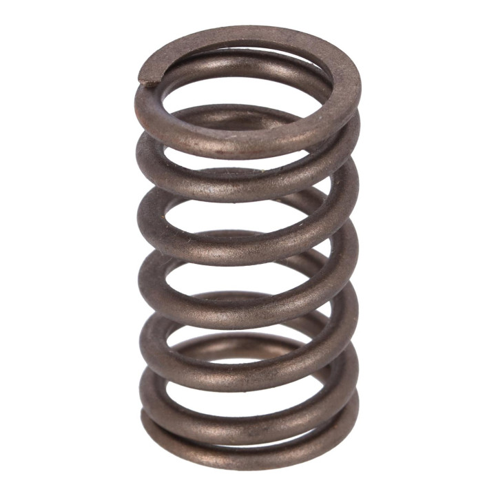Valve spring Volvo (31272522)