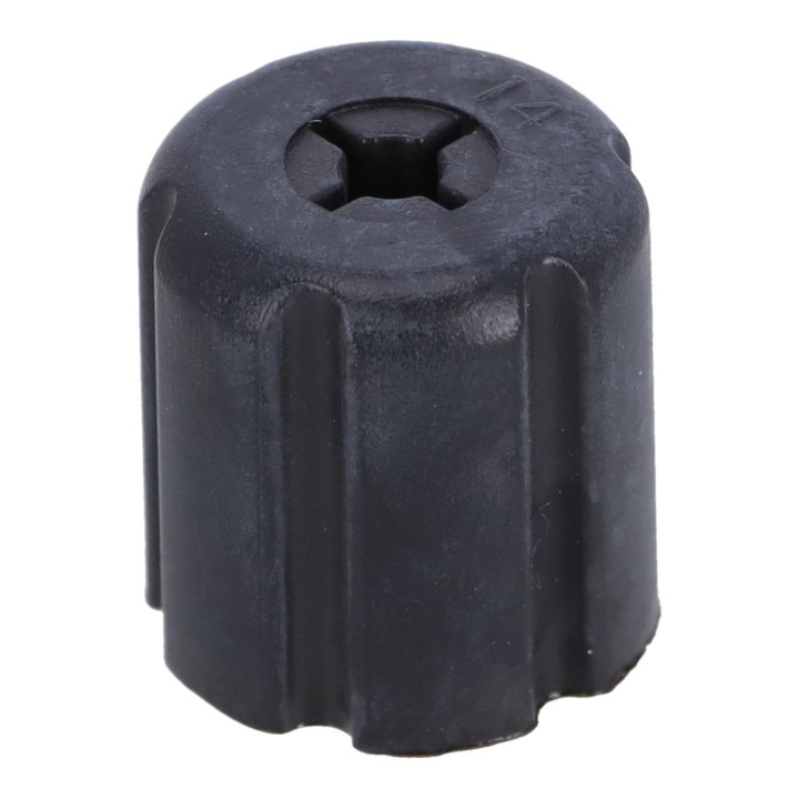 Cap nut Volvo (1228818)