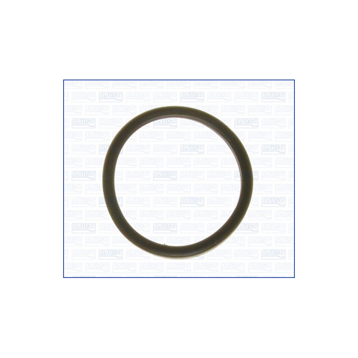Uszczelka termostatu AJUSA 01193700