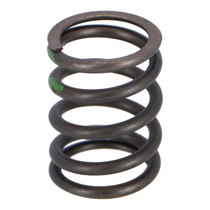 Valve spring Volvo (1257056)
