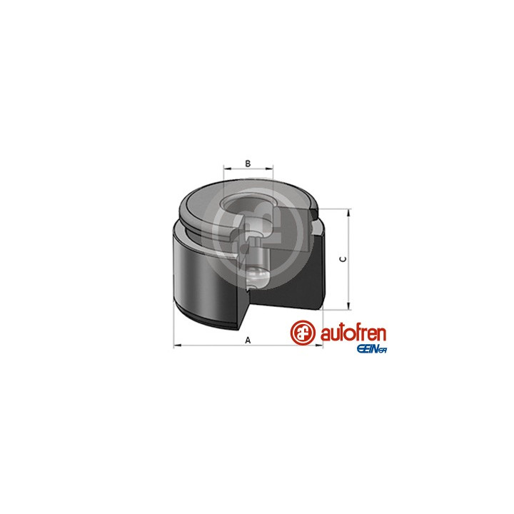 Tłoczek zacisku hamulcowego AUTOFREN SEINSA D025565