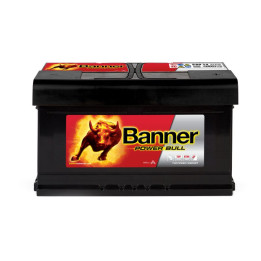 Akumulator Banner 013580140101