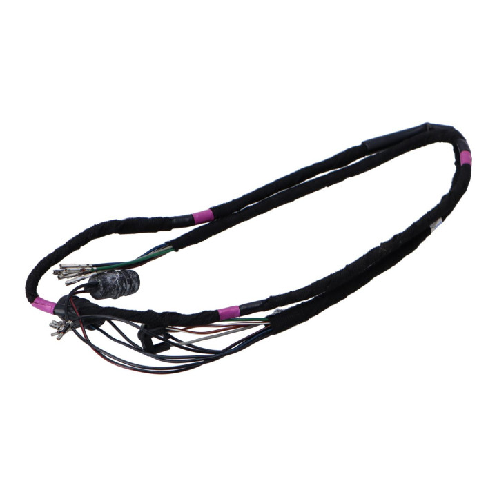 Wiring harness Volvo (9181215)