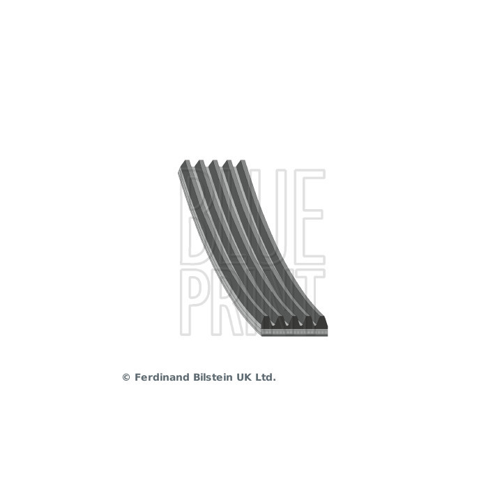 Pasek klinowy wielorowkowy BLUE PRINT AD05R890