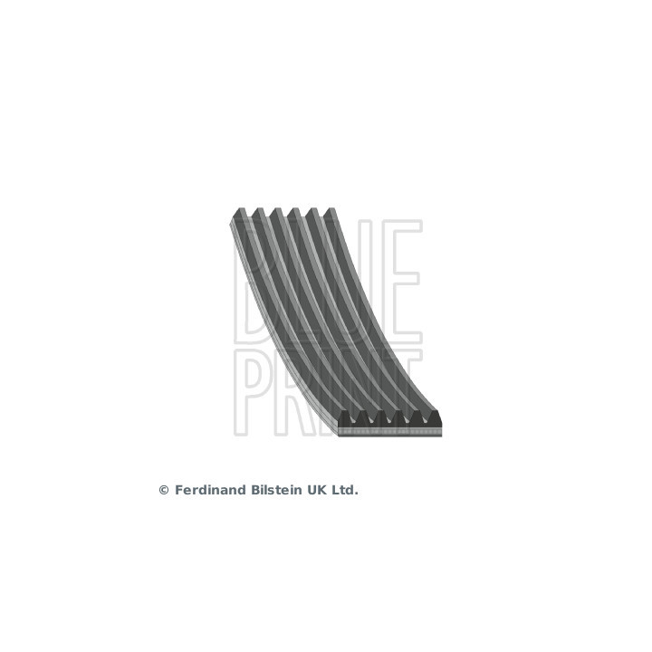 Pasek klinowy wielorowkowy BLUE PRINT AD06R975