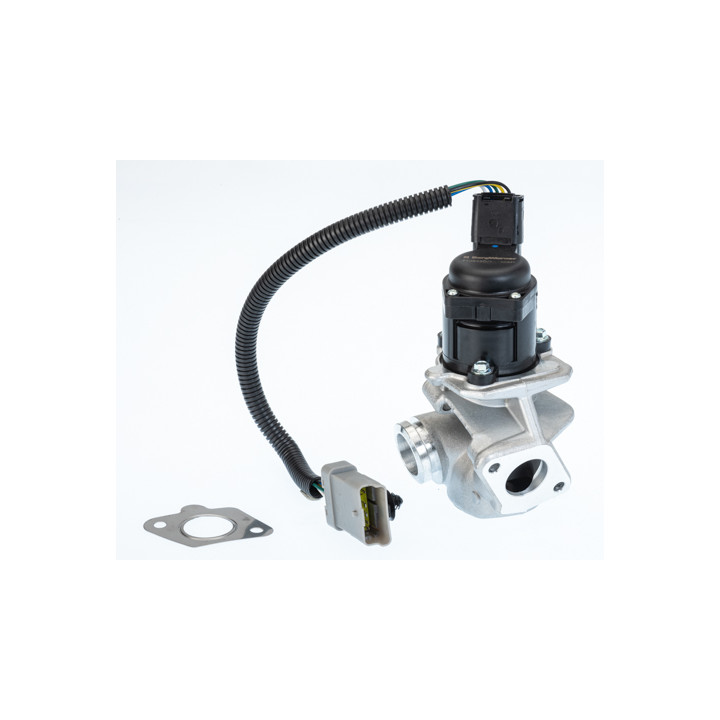 Zawór spalin EGR BorgWarner 710936D