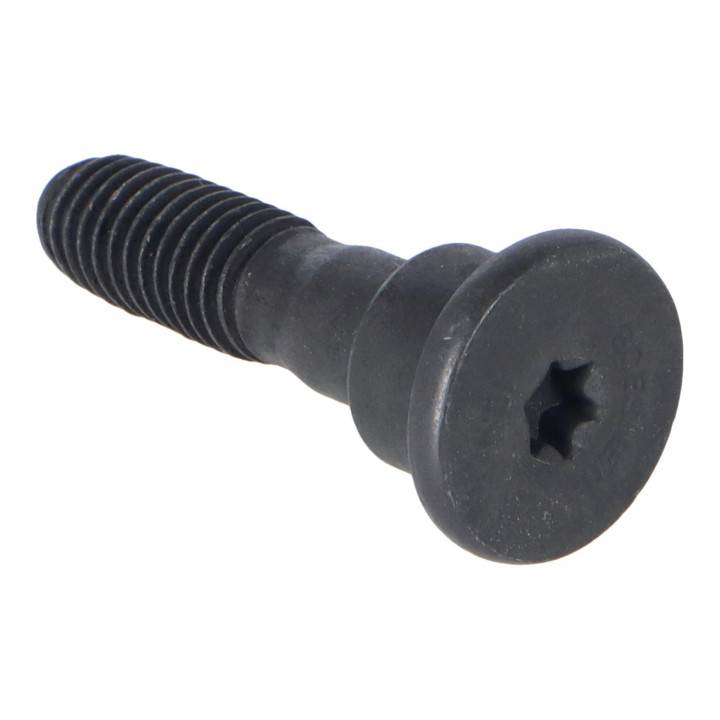 Screw Volvo (31101444)