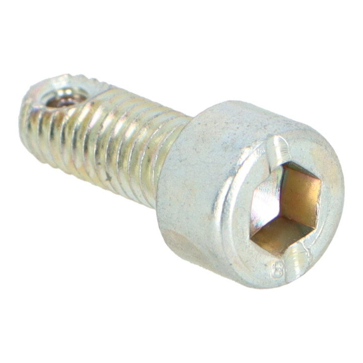 Screw Volvo (1232819)