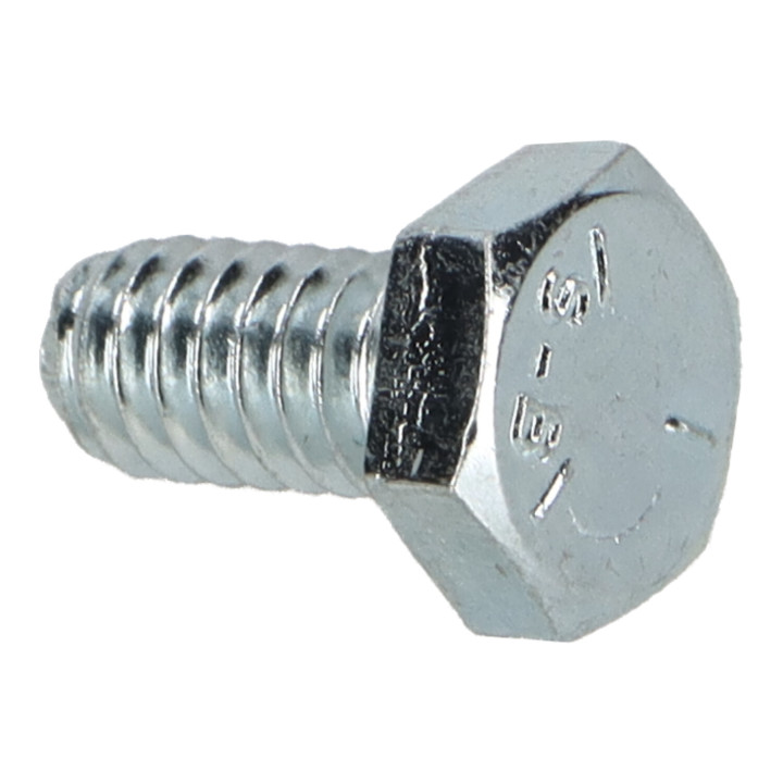 Hexagon screw Volvo (955512)