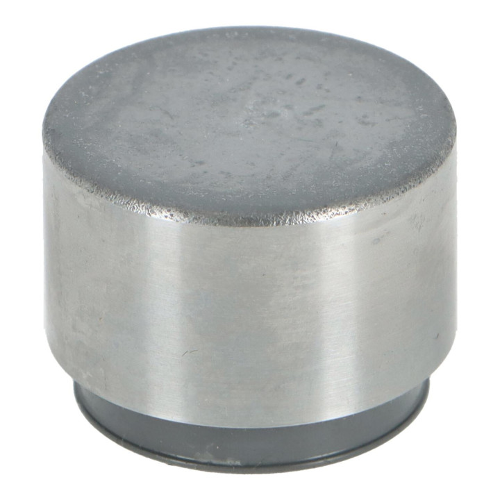 Piston Volvo (1229048)