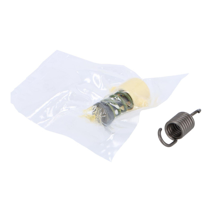 Spring kit Volvo (31200942)