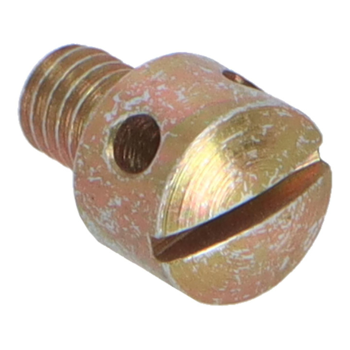 Screw Volvo (1234823)