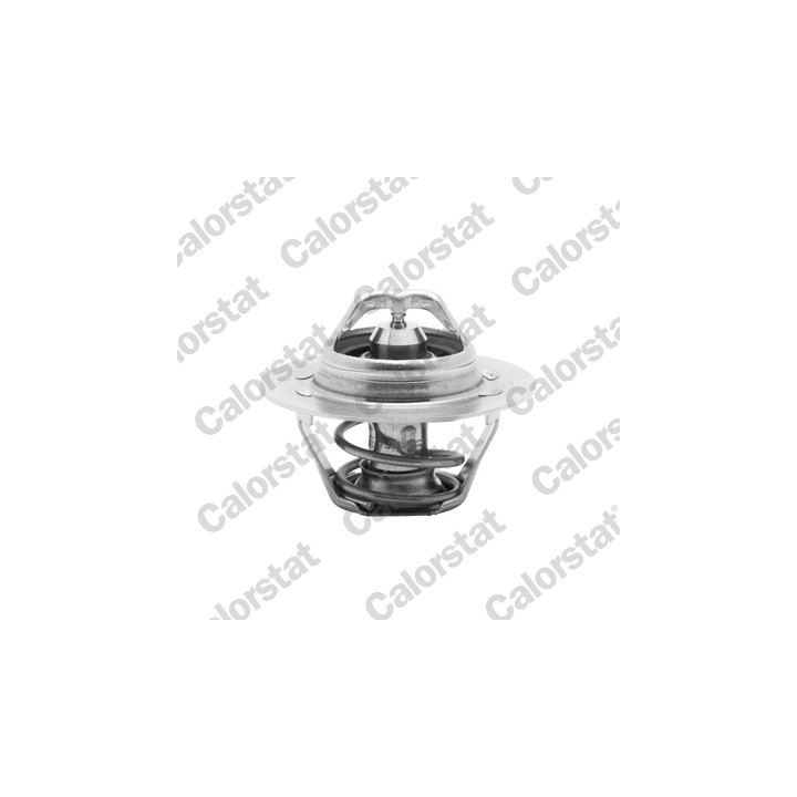 Termostat CALORSTAT by Vernet TH6045.89J