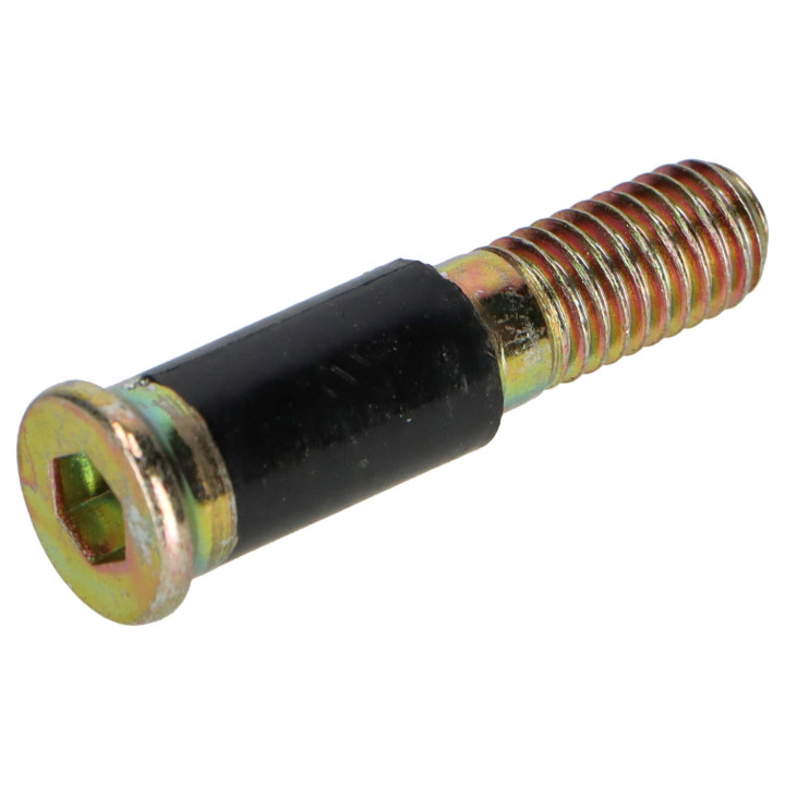 Lock screw Volvo (1247886)