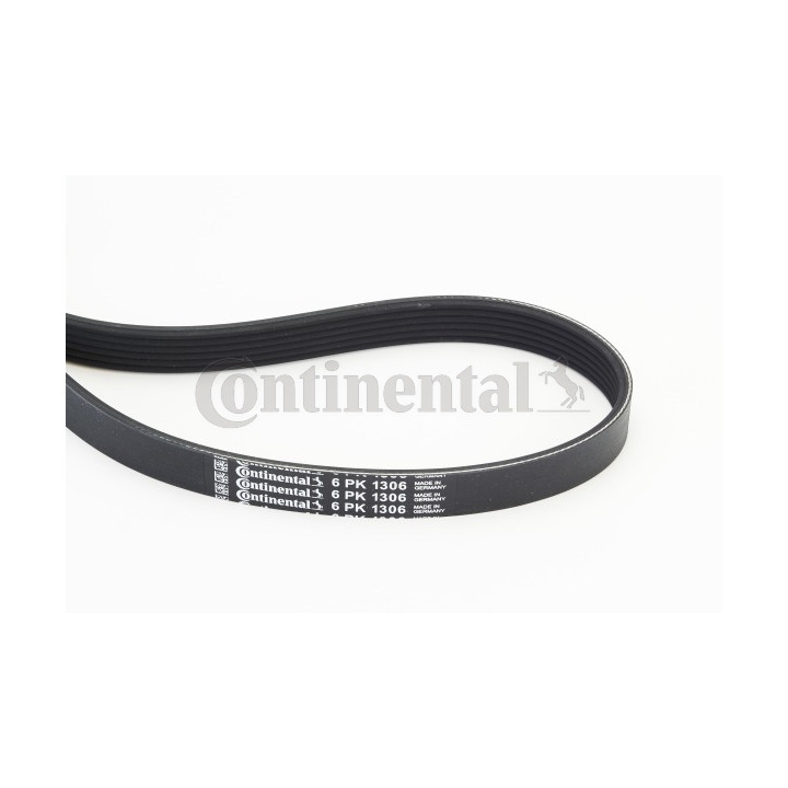 Pasek klinowy wielorowkowy CONTINENTAL CTAM 6PK1306