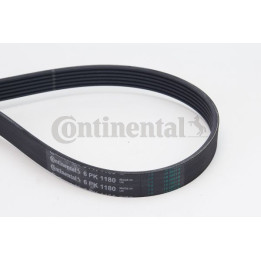 Pasek klinowy wielorowkowy CONTINENTAL CTAM 6PK1180