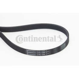 Pasek klinowy wielorowkowy CONTINENTAL CTAM 6PK1200