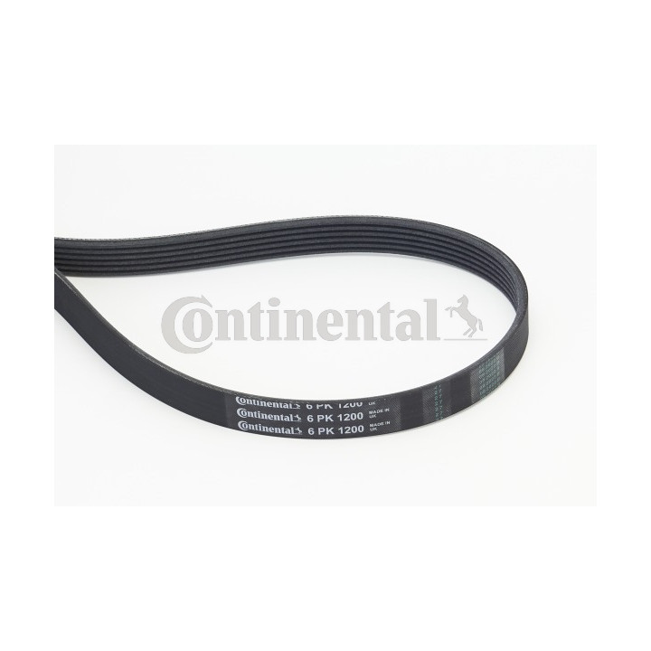 Pasek klinowy wielorowkowy CONTINENTAL CTAM 6PK1200