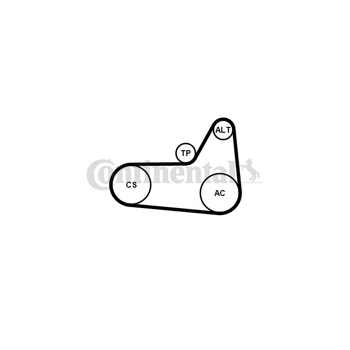 Zestaw paska klinowego wielorowkowego CONTINENTAL CTAM 6PK1180K4