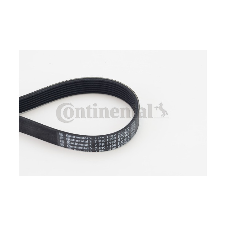 Pasek klinowy wielorowkowy CONTINENTAL CTAM 7PK1190 EXTRA