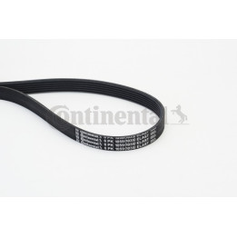 Pasek klinowy wielorowkowy CONTINENTAL CTAM 6PK1059 ELAST