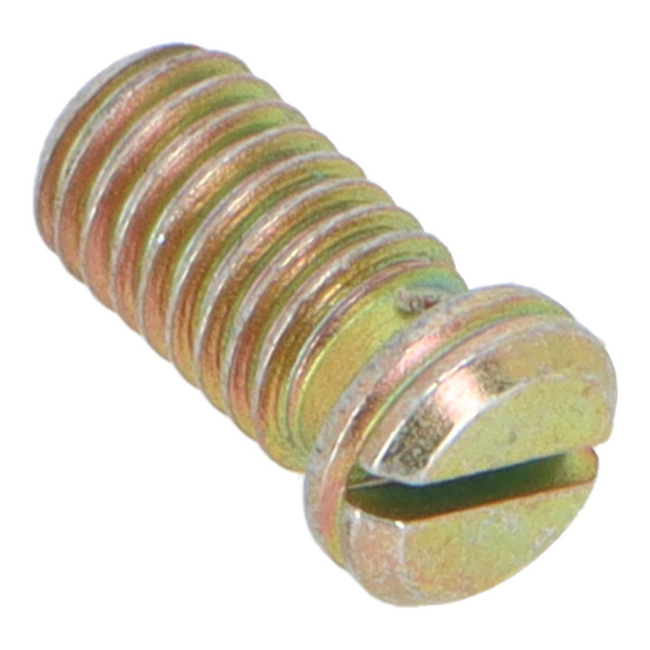 Screw Volvo (1269333)