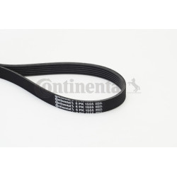 Pasek klinowy wielorowkowy CONTINENTAL CTAM 6PK1555