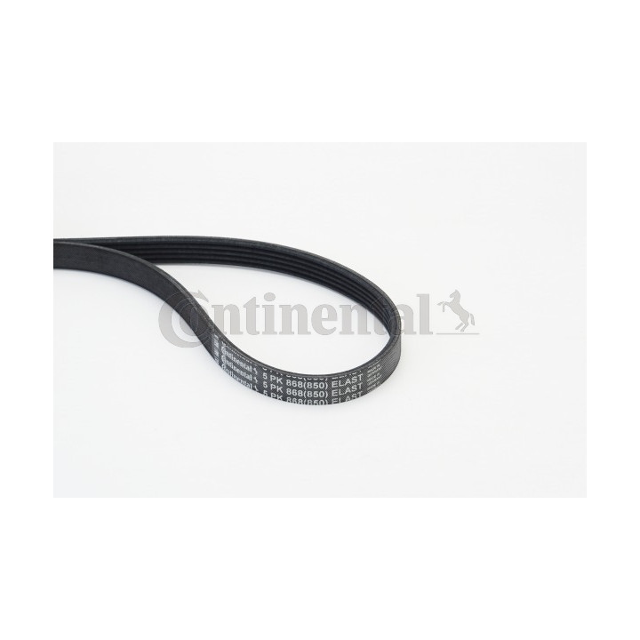 Pasek klinowy wielorowkowy CONTINENTAL CTAM 5PK868 ELAST