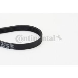 Pasek klinowy wielorowkowy CONTINENTAL CTAM 5PK884
