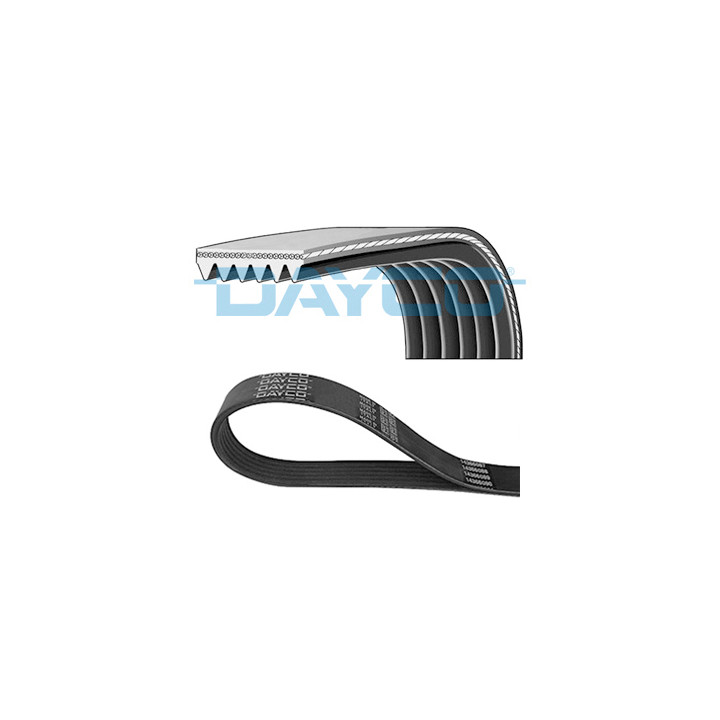 Pasek klinowy wielorowkowy DAYCO 6PK1795