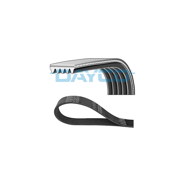 Pasek klinowy wielorowkowy DAYCO 5PK1125