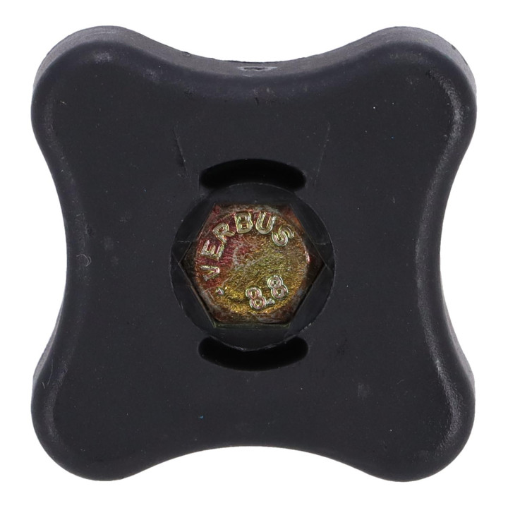 Screw Volvo (1316900)