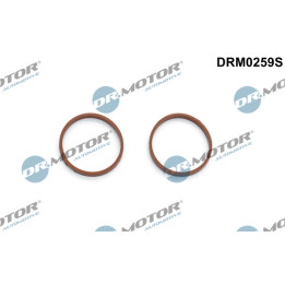 Zestaw uszczelek kolektora dolotowego Dr.Motor Automotive DRM0259S